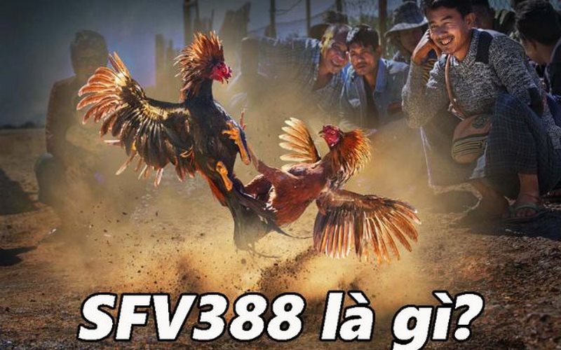 Tổng quan về SFV388